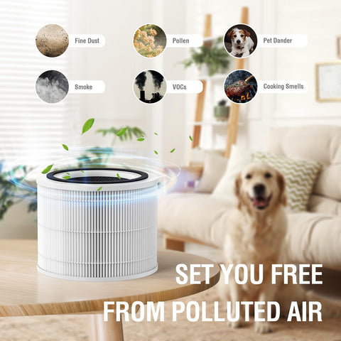FMDZFL easy install 240 filter for Puro 240