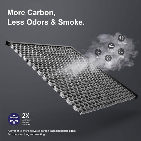 FMDZFL two carbon filters pack for Winix 5510 odor removal