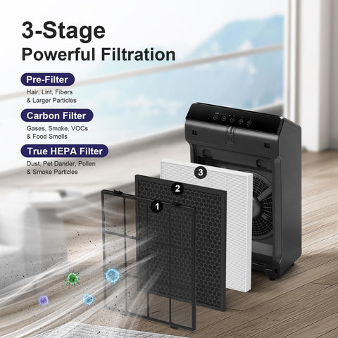 FMDZFL filter pack with two HEPA filters for Winix 5510 compatibility