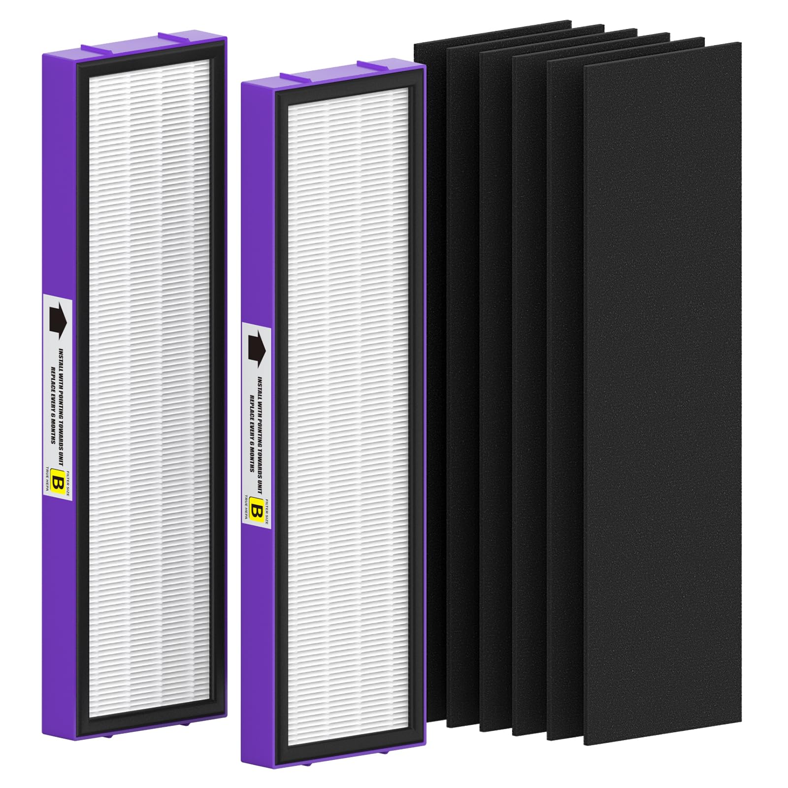 FMDZFL FLT4850PT true HEPA filter B boosts home air filtration