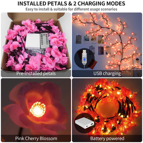 Remote control of FNHMSL Willow Vine Light enables easy mode changes