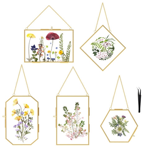 FOCHIER F 5-pcs pressed flower frames for stylish wall or table displays.
