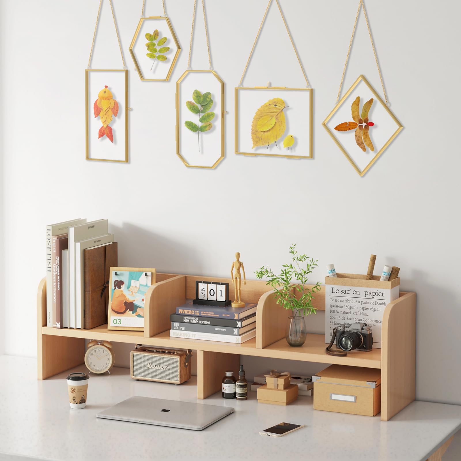 FOCHIER F hexagon and octagon frames for creative display.