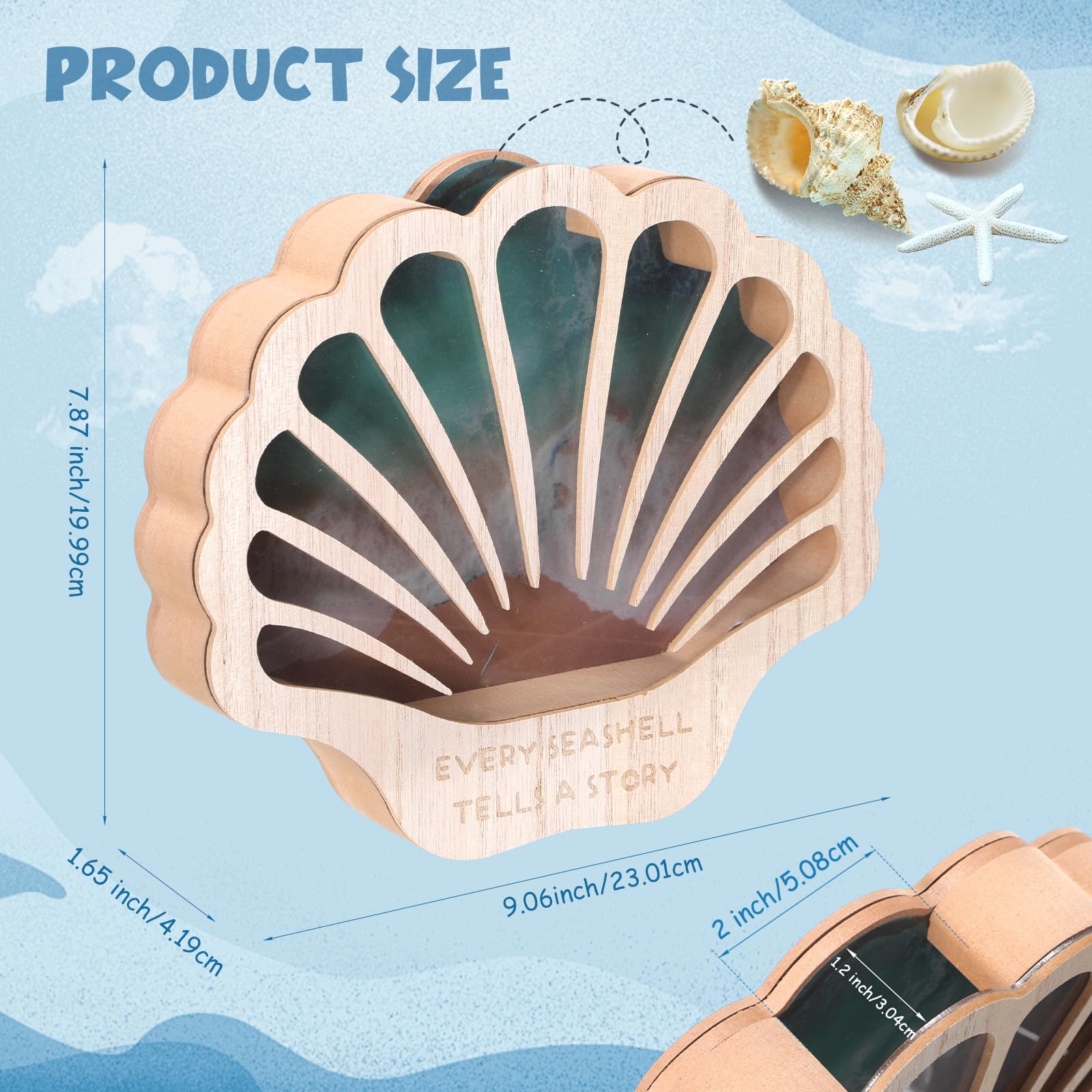 FoldTier Seashell Display Case sea glass showcase with soft glow for enhanced visibility.
