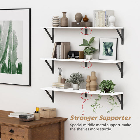 Forbena wall shelf with plants display for a fresh home touch.