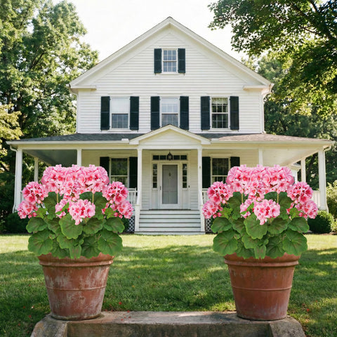 FOREST PRINCE 2-pack artificial geraniums for planters