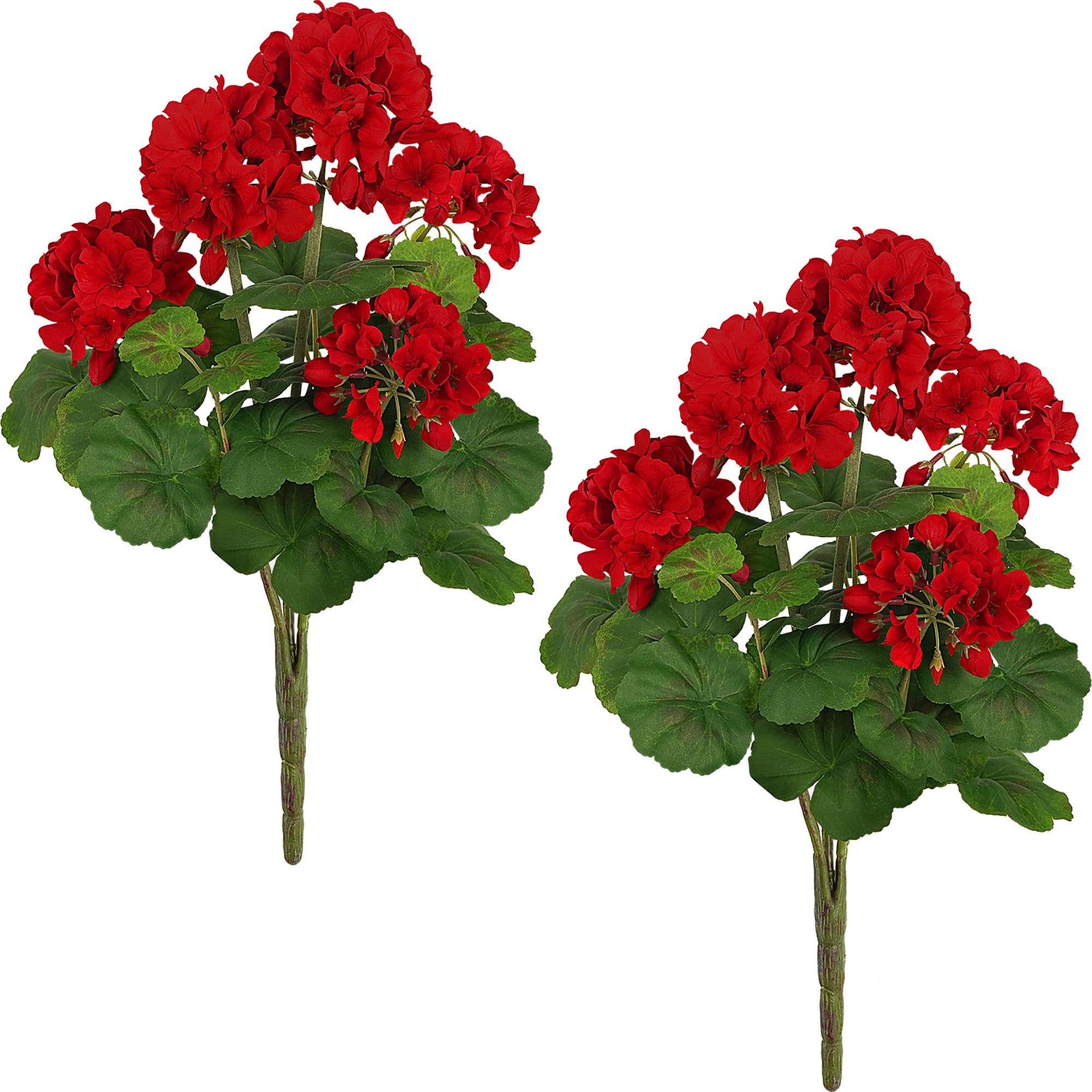 FOREST PRINCE 2-pack 18-inch red geraniums for outdoor planters with year-round color