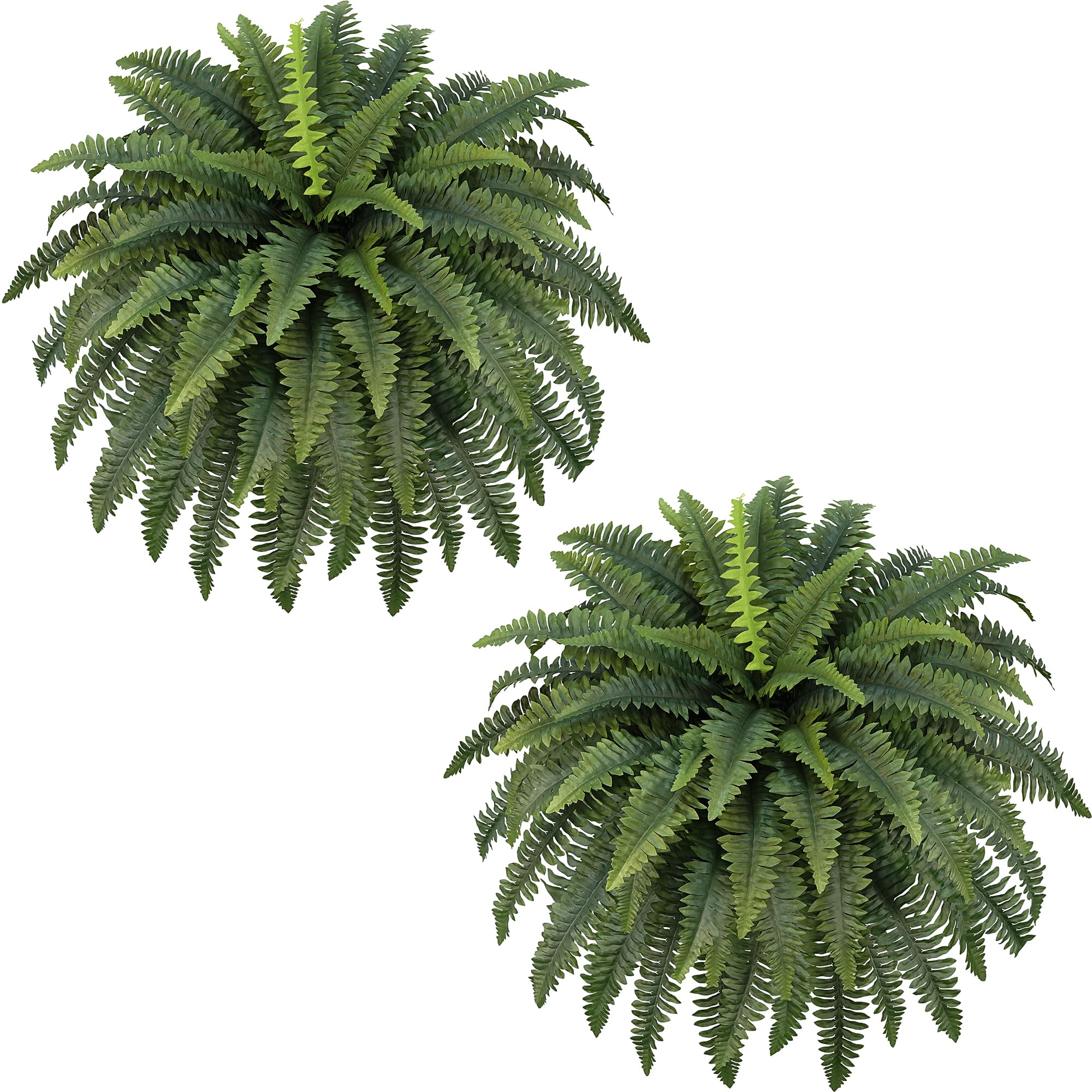 FOREST PRINCE Boston fern close-up showing lifelike fronds for outdoor decor