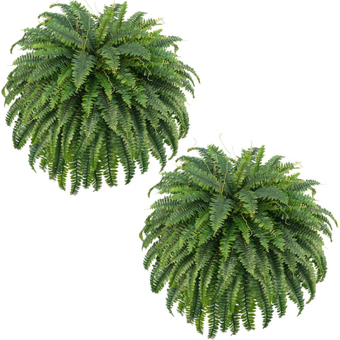 FOREST PRINCE 50-inch fake ferns bouquet enhances outdoor spaces with lush realism.