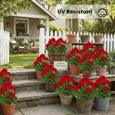 FOREST PRINCE all-weather red geraniums stay vibrant outdoors