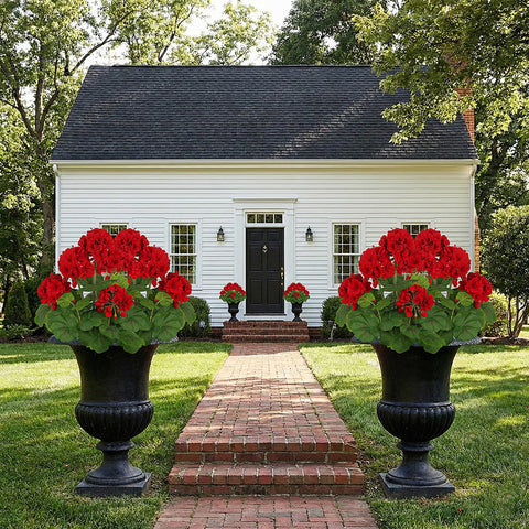 FOREST PRINCE easy-care geraniums that wipe clean