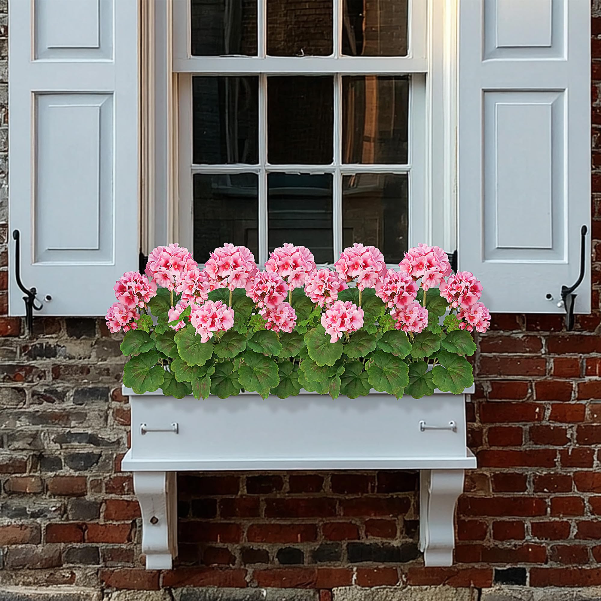FOREST PRINCE easy-care geraniums: wipe clean