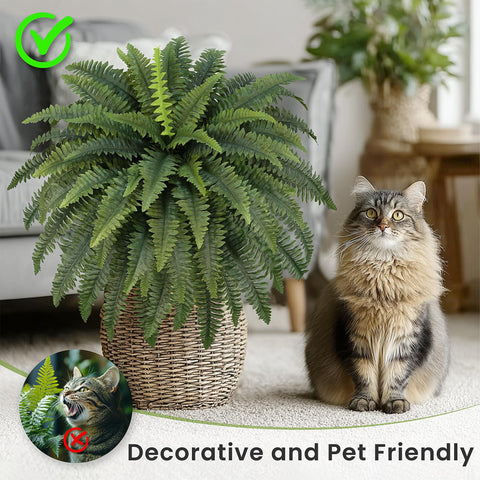FOREST PRINCE fern bouquet spans 42 inches for wide display
