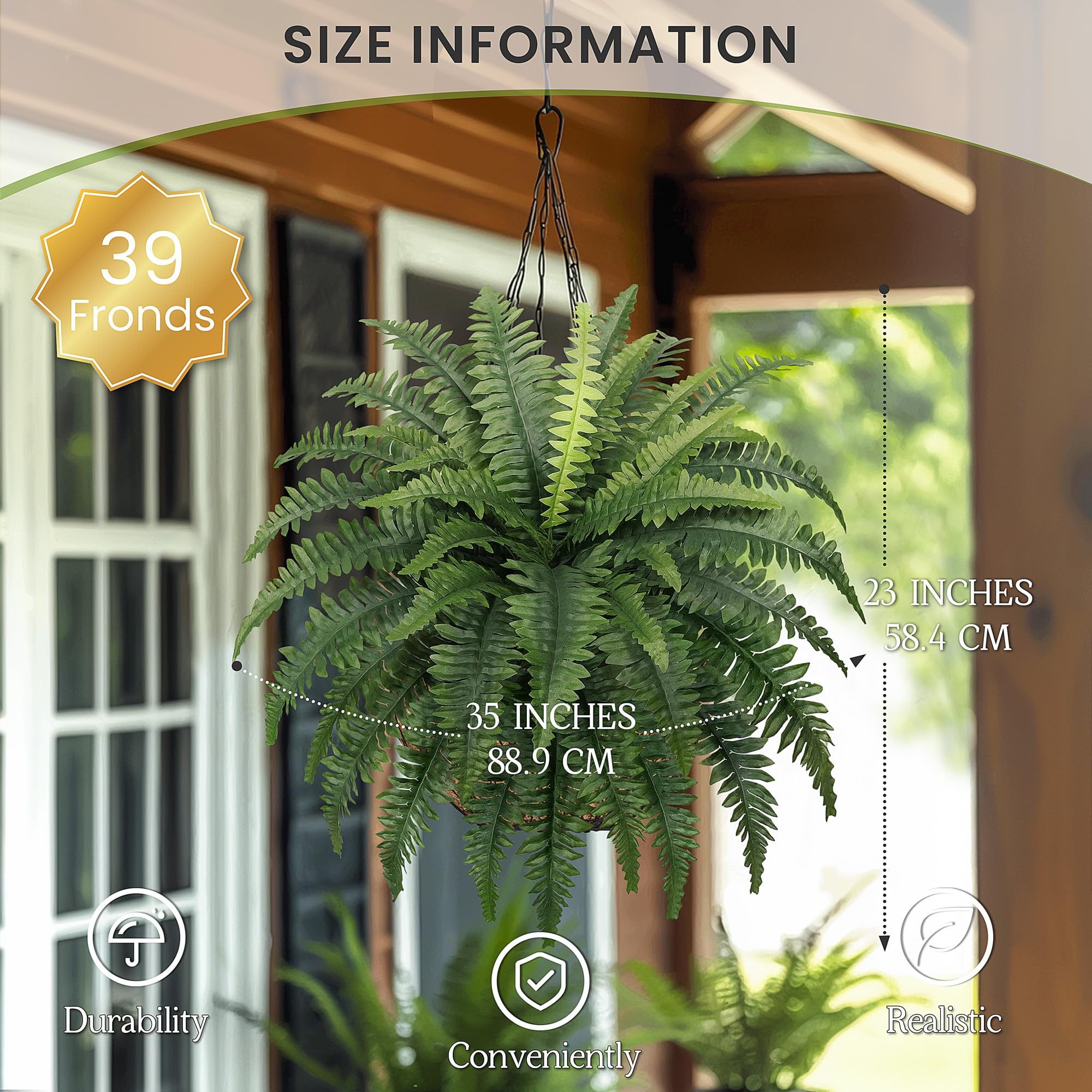 FOREST PRINCE fern bundle with 39 fronds ideal for indoor accents