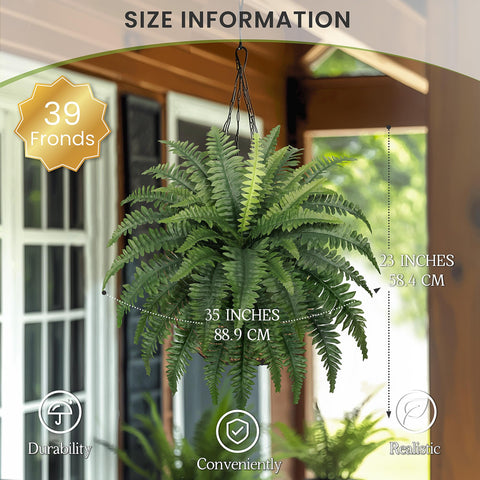 FOREST PRINCE fern bundle with 39 fronds ideal for indoor accents