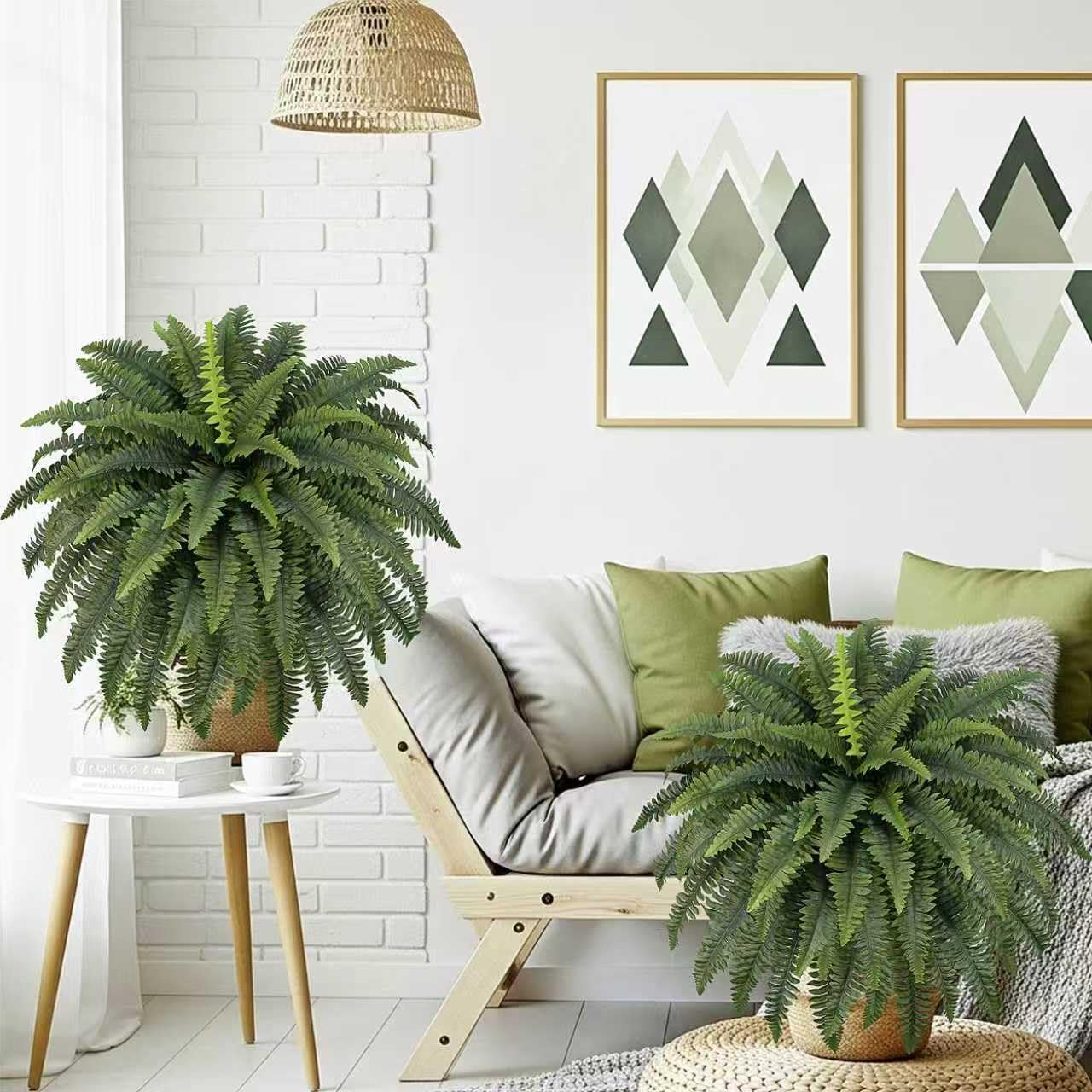 FOREST PRINCE living room fern display provides greenery without watering