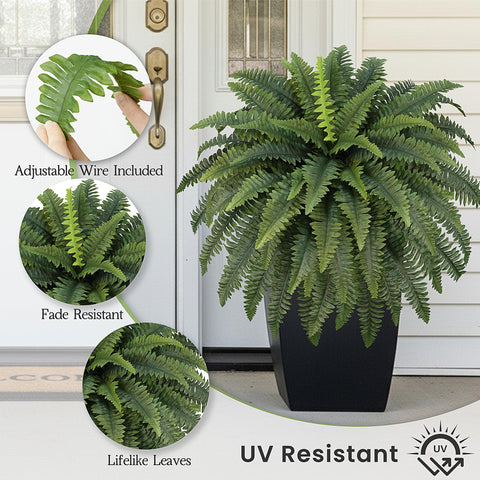 FOREST PRINCE outdoor porch fern arrangement adds year-round greenery