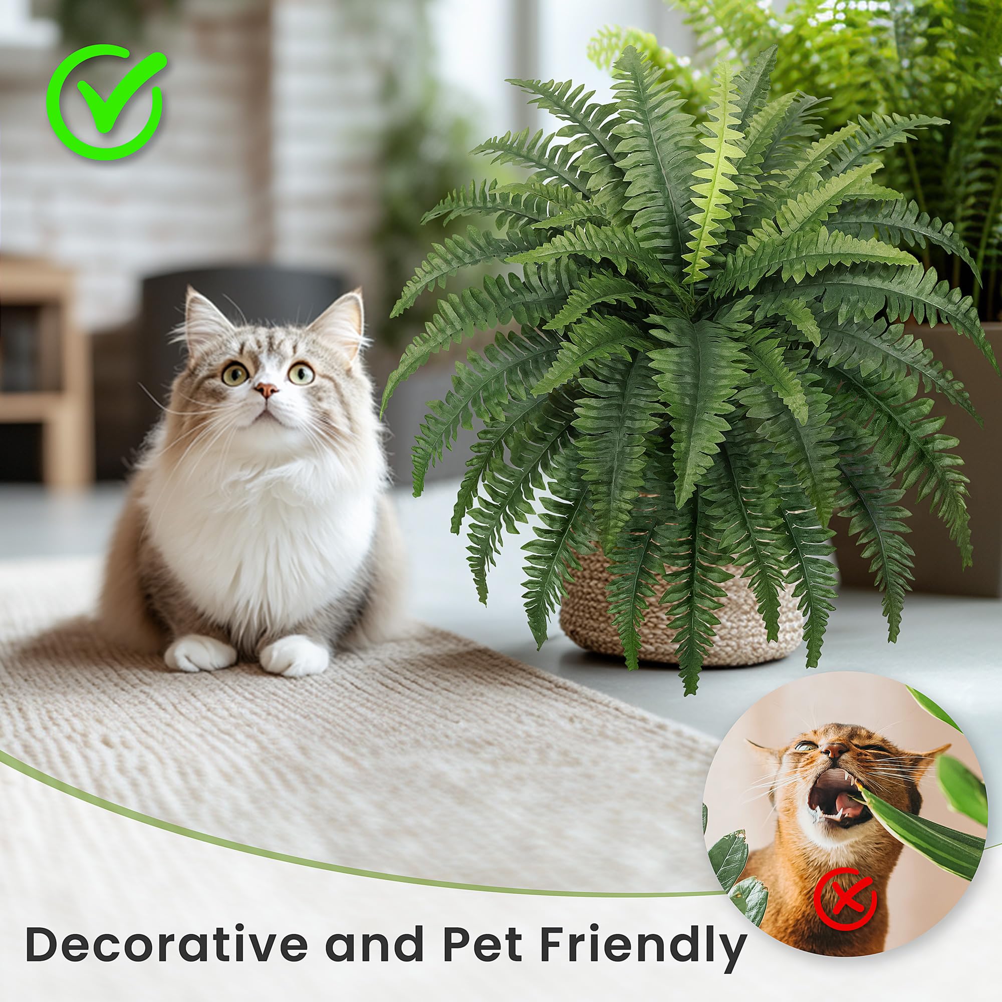 FOREST PRINCE ferns with UV resistant coating outdoors