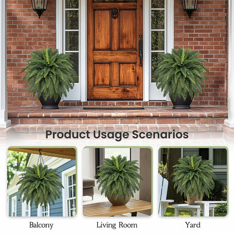FOREST PRINCE UV-resistant finish helps prevent fading on ferns