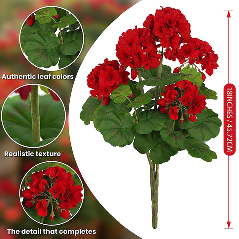 FOREST PRINCE UV-resistant geraniums close-up of red petals