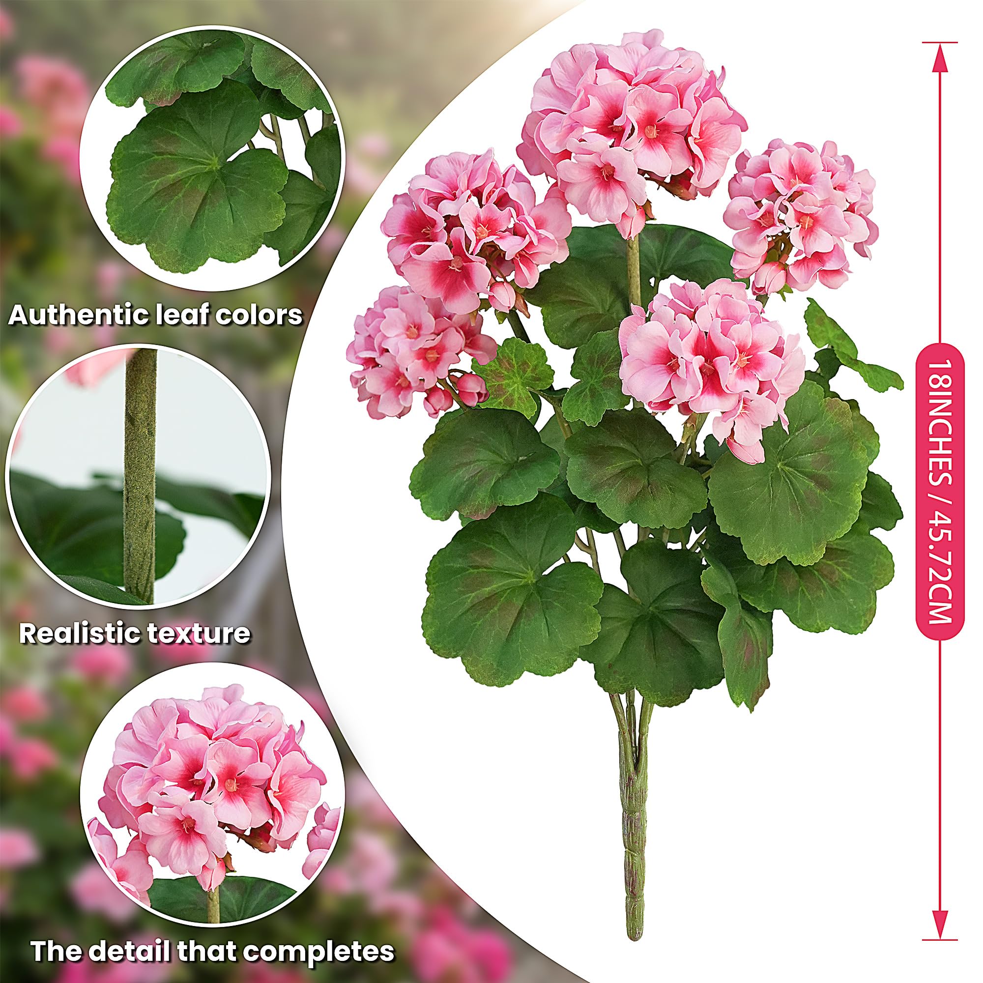 FOREST PRINCE UV-resistant and waterproof geraniums for sun and rain