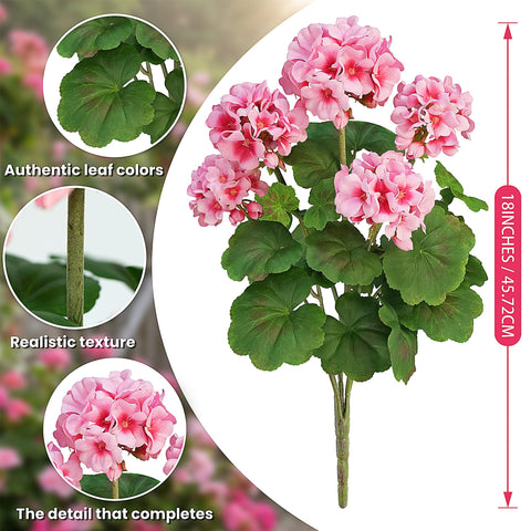FOREST PRINCE UV-resistant and waterproof geraniums for sun and rain