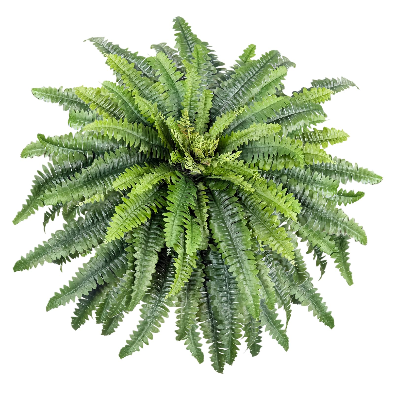 Forestwave Boston fern 45-inch with 57 fronds for instant greenery indoors or on the porch.