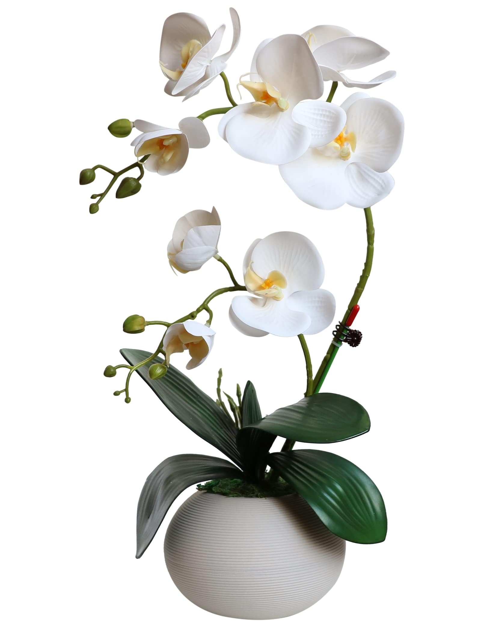 Forlaoers artificial orchid in pot with ceramic vase adds maintenance-free elegance to home decor.