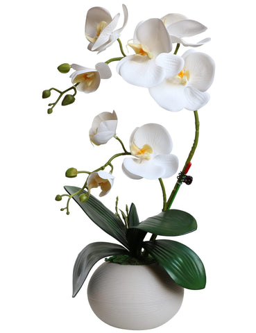 Forlaoers artificial orchid in pot with ceramic vase adds maintenance-free elegance to home decor.