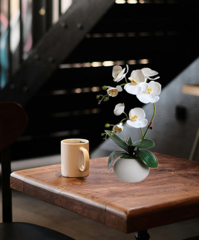 Forlaoers easy-setup orchid arrives pre-shaped for instant styling.
