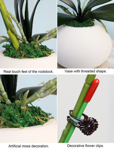 Forlaoers gift-ready orchid makes a thoughtful present for various occasions.