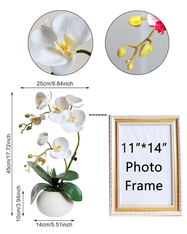Forlaoers orchid arrangement in a ceramic vase creates a refined focal point.