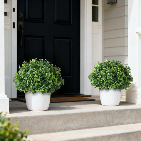 FOTEEWL topiary in pot provides year-round greenery with minimal upkeep