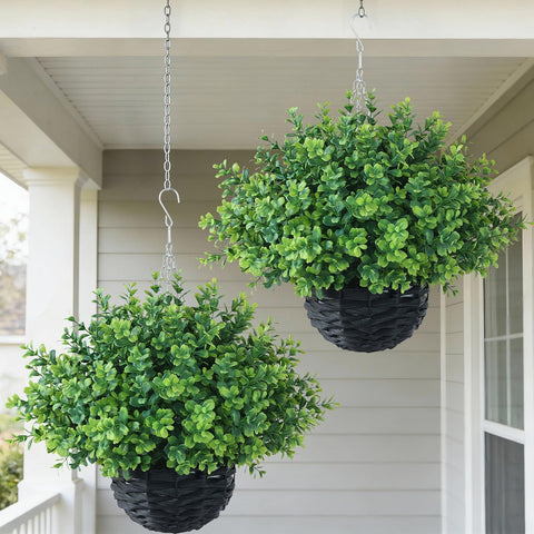 FOTEEWL Boxwood hanging basket front view showing lush leaves for year round greenery