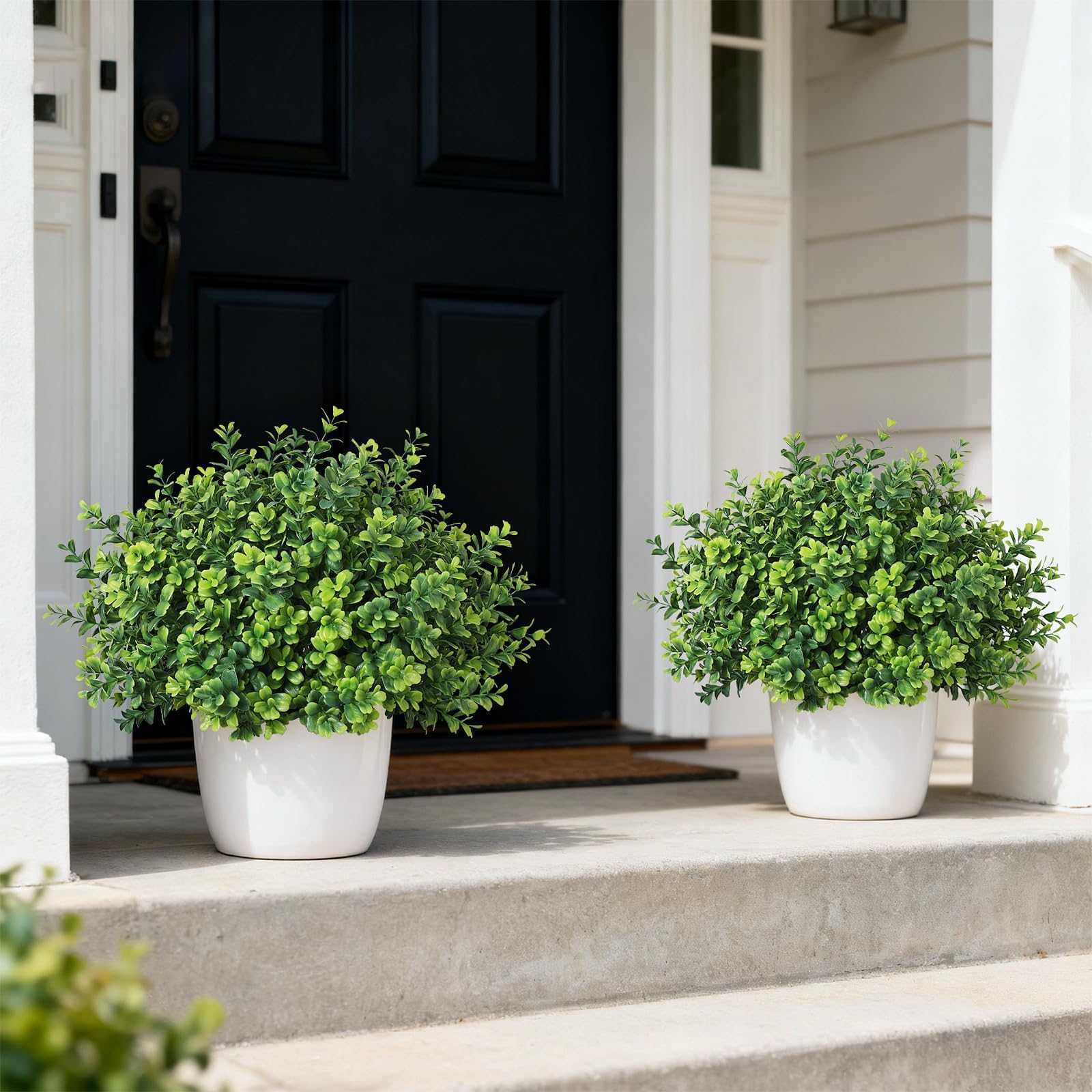 FOTEEWL boxwood leaves close-up highlights realistic texture and color variation.