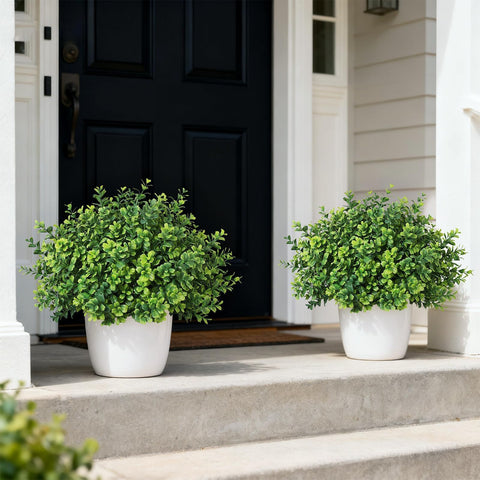 FOTEEWL boxwood leaves close-up highlights realistic texture and color variation.