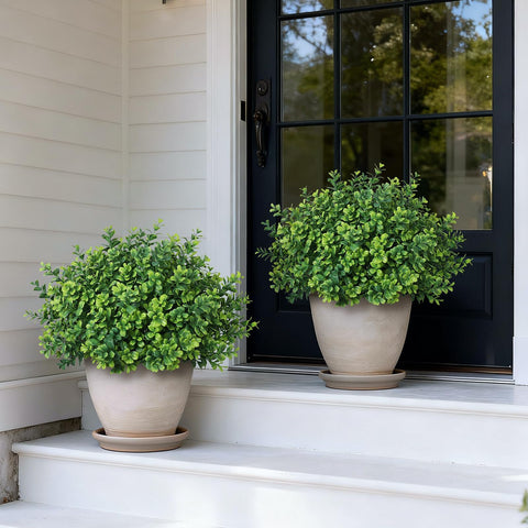 FOTEEWL boxwood topiary on porch display creates a welcoming outdoor focal point.
