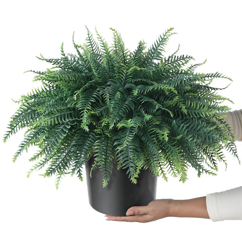 FOTEEWL no-installation fern pots ready to use straight from the box.