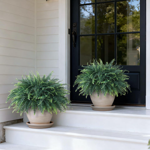 FOTEEWL weatherproof fern pots ideal for porch entrances.