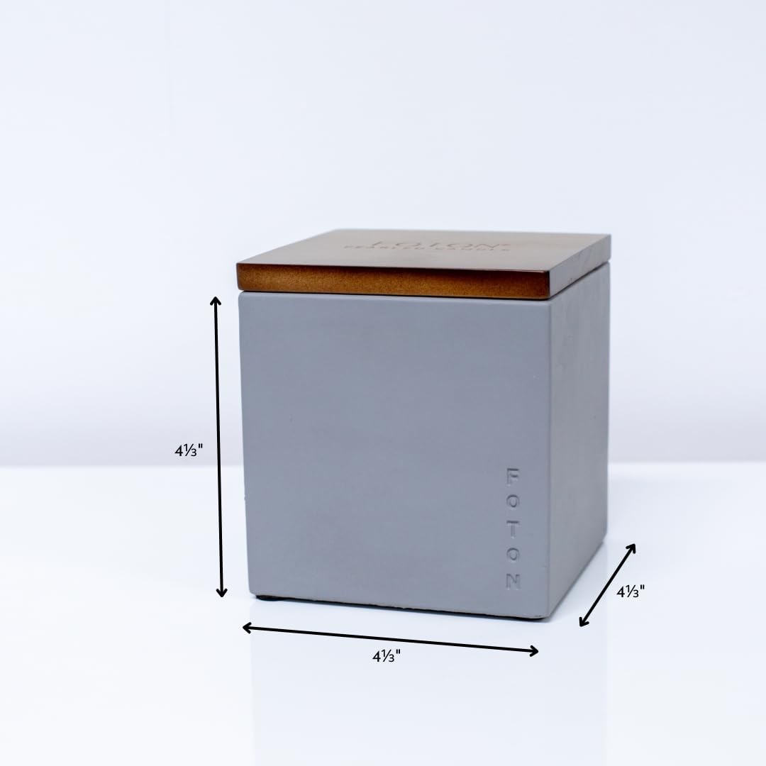 Foton Le Cube modern concrete vase enhances contemporary decor.