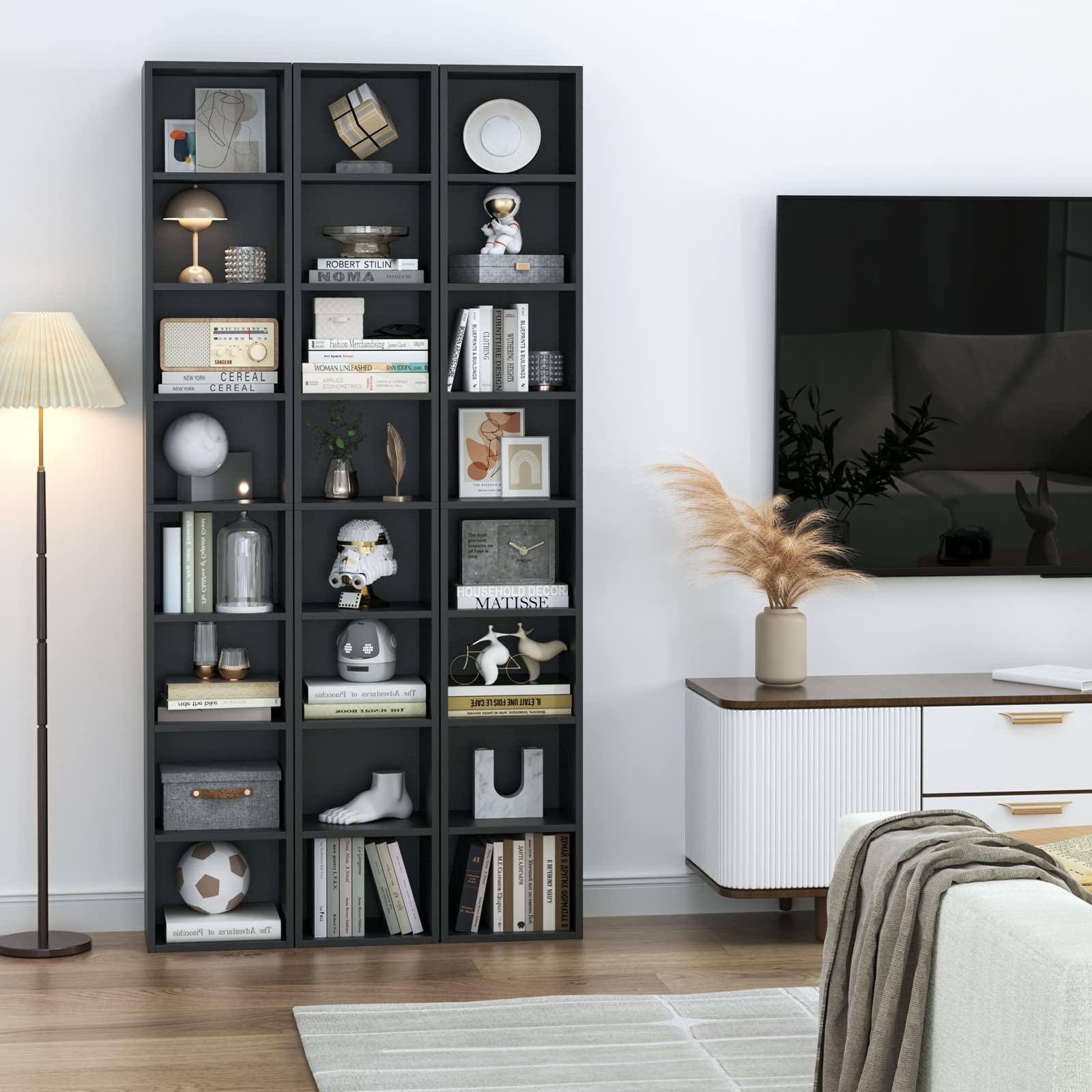 FOTOSOK DVD and CD storage arrangement in black finish