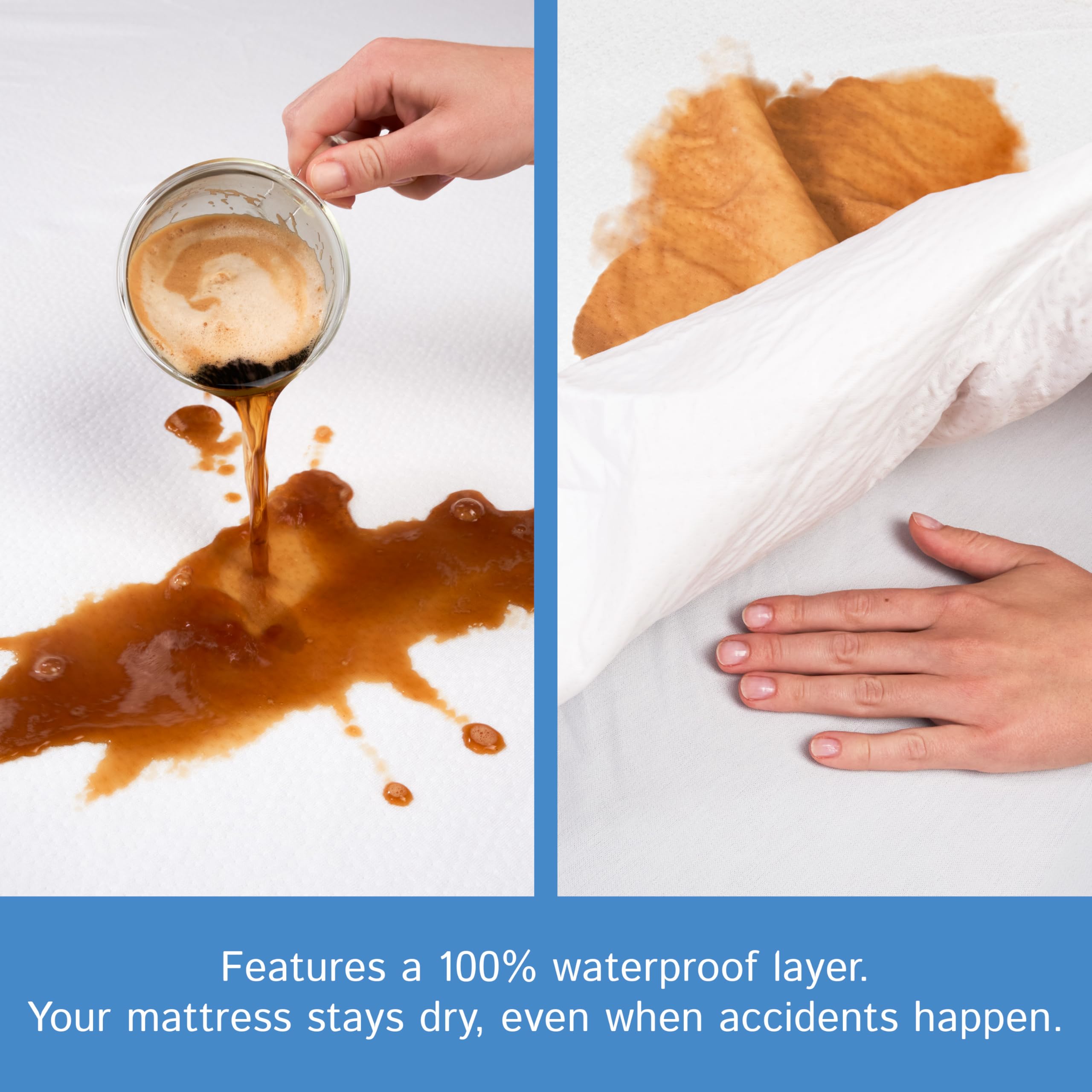Four Seasons Essentials six-sided zipper encasement seals out dust and pet hair