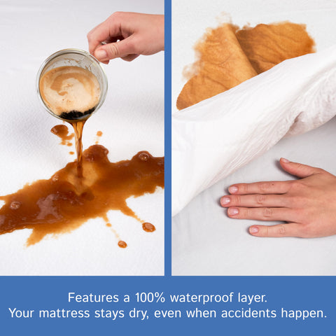 Four Seasons Essentials soft, noiseless cover preserves comfort while protecting from dust.