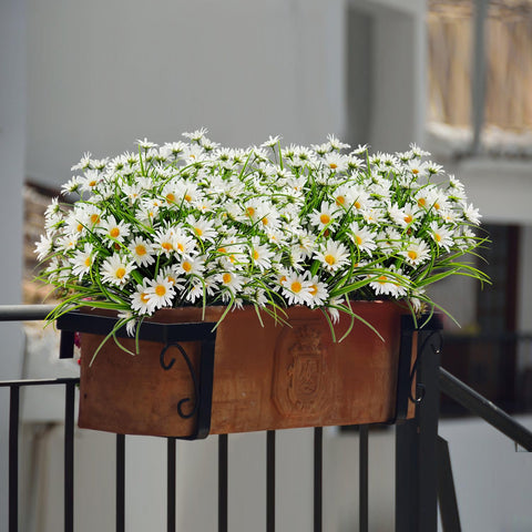 FOUSUKA daisy bundles for garden borders deliver long-lasting, water-free beauty.