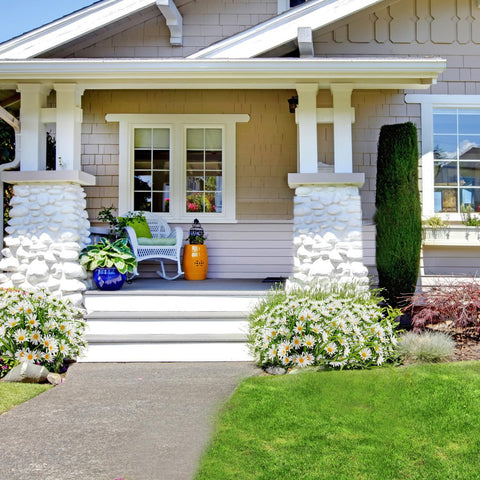 FOUSUKA daisy bundles in planters boost curb appeal with minimal care.