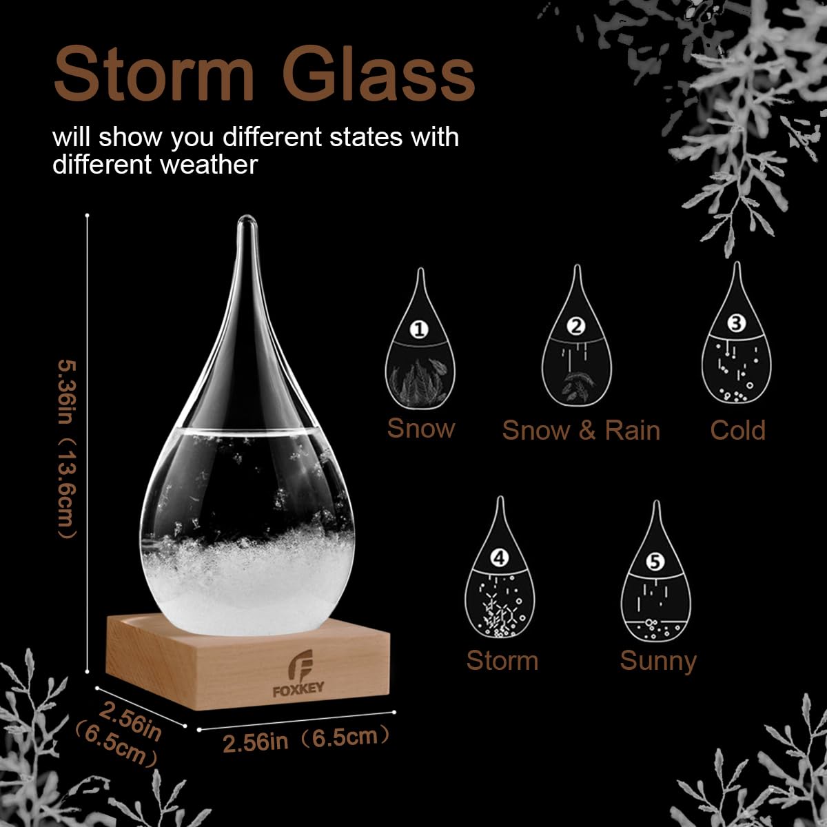 F FOXKEY storm glass snow globe bottle display shows weather-inspired shapes.