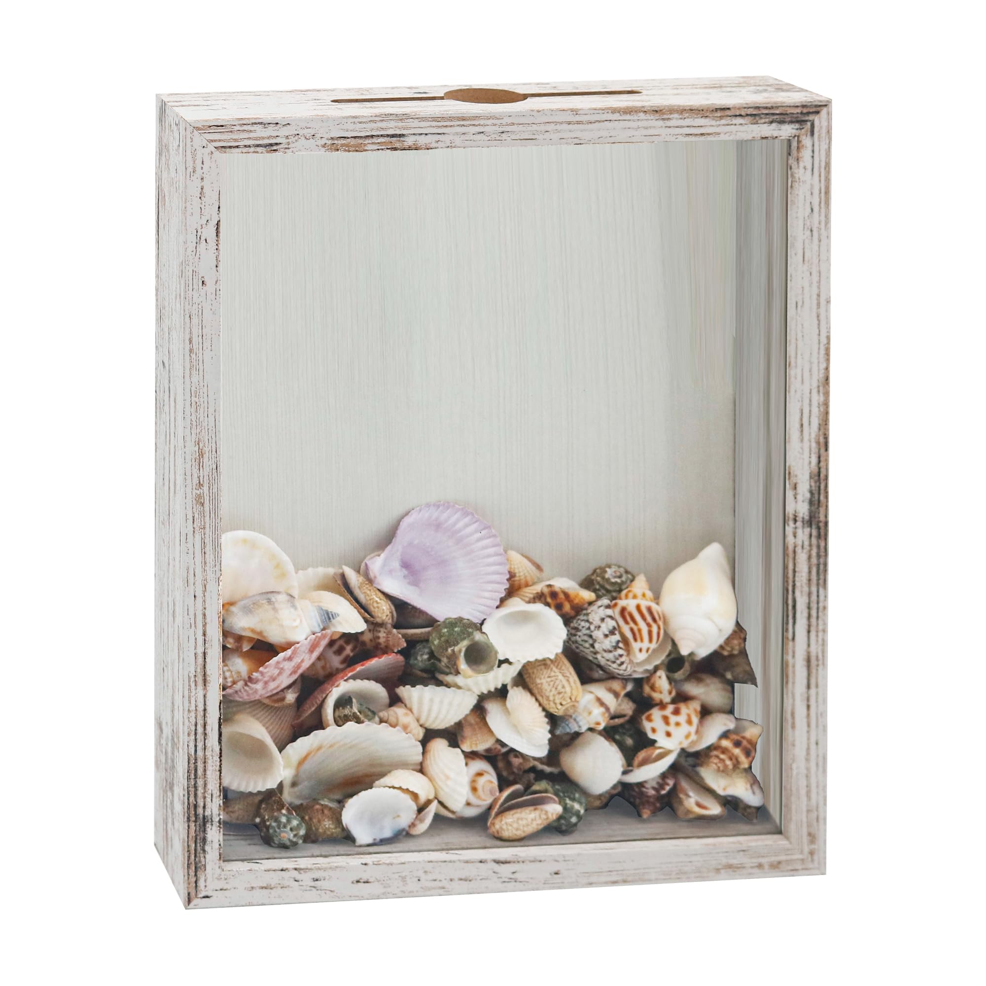 FramePro small shadow box seashell collection displays keepsakes in a bright white frame