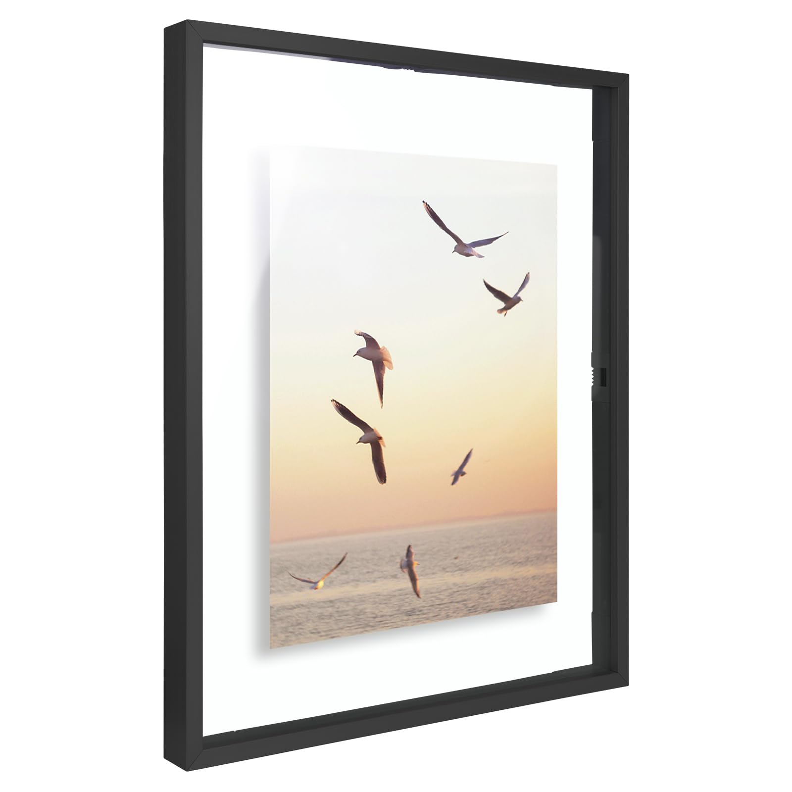 Frametory artwork-display 11x14 frame elevates certificates and prints with minimal boundary.