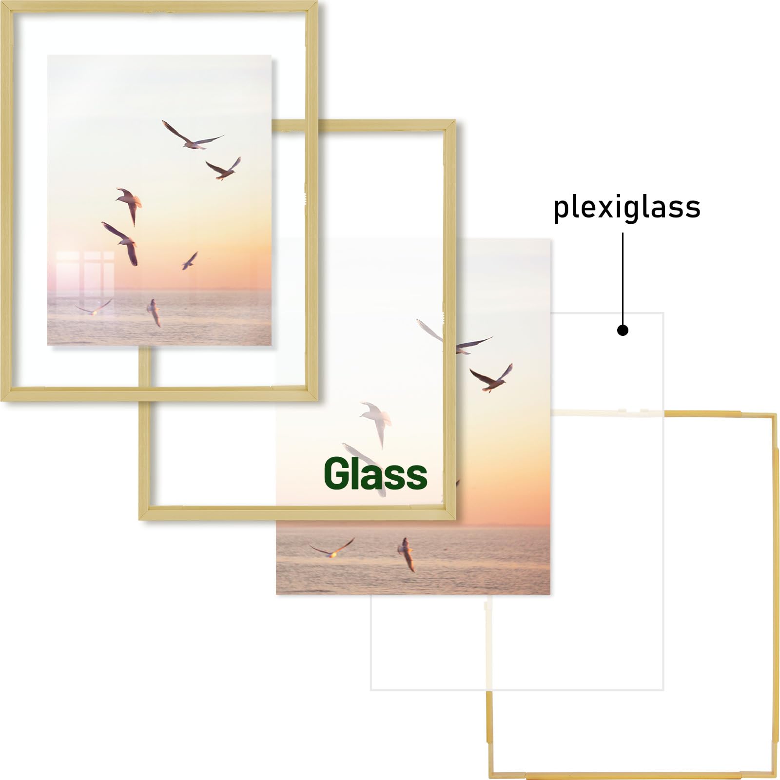 Frametory dried flowers in frame demonstrates versatile display options.