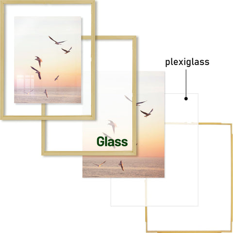 Frametory dried flowers in frame demonstrates versatile display options.